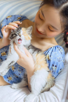 情妇美剧